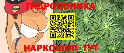 дурь Сланцы