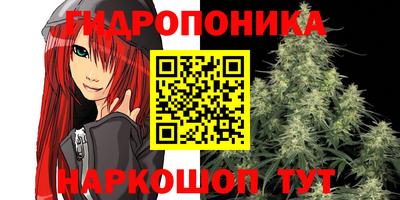 дурь Сланцы