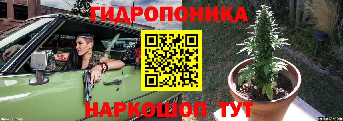 Бошки Шишки White Widow Печора
